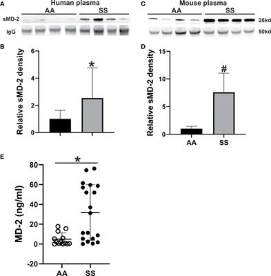 Soluble <mark class="highlighted">MD-2</mark> and Heme in Sickle Cell Disease Plasma Promote Pro-Inflammatory Signaling in Endothelial Cells